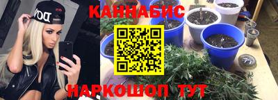 круглые Лесосибирск