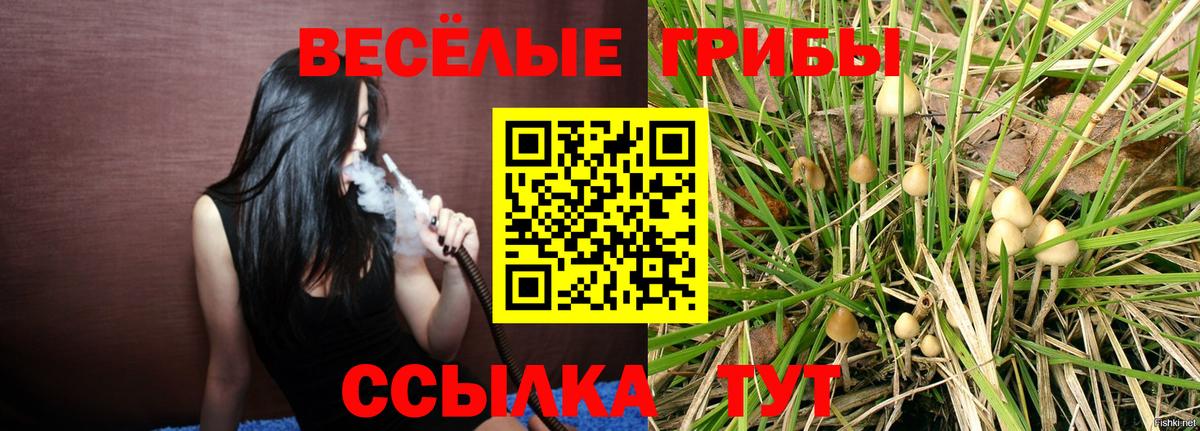 Галлюциногенные грибы GOLDEN TEACHER  Галлюциногенные грибы Psilocybe  Зеленокумск  Вход с VPN 